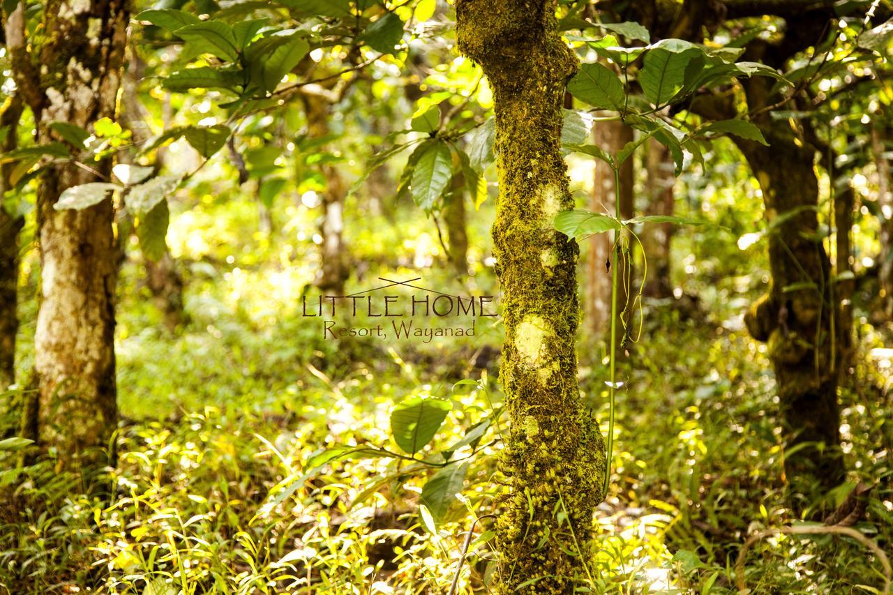 Little Home Resort Vythiri Buitenkant foto