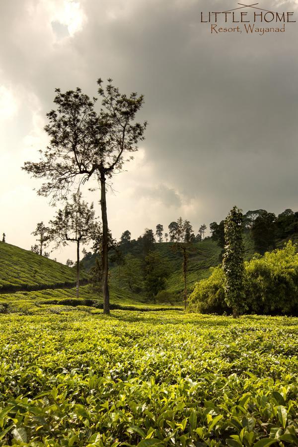 Little Home Resort Vythiri Buitenkant foto