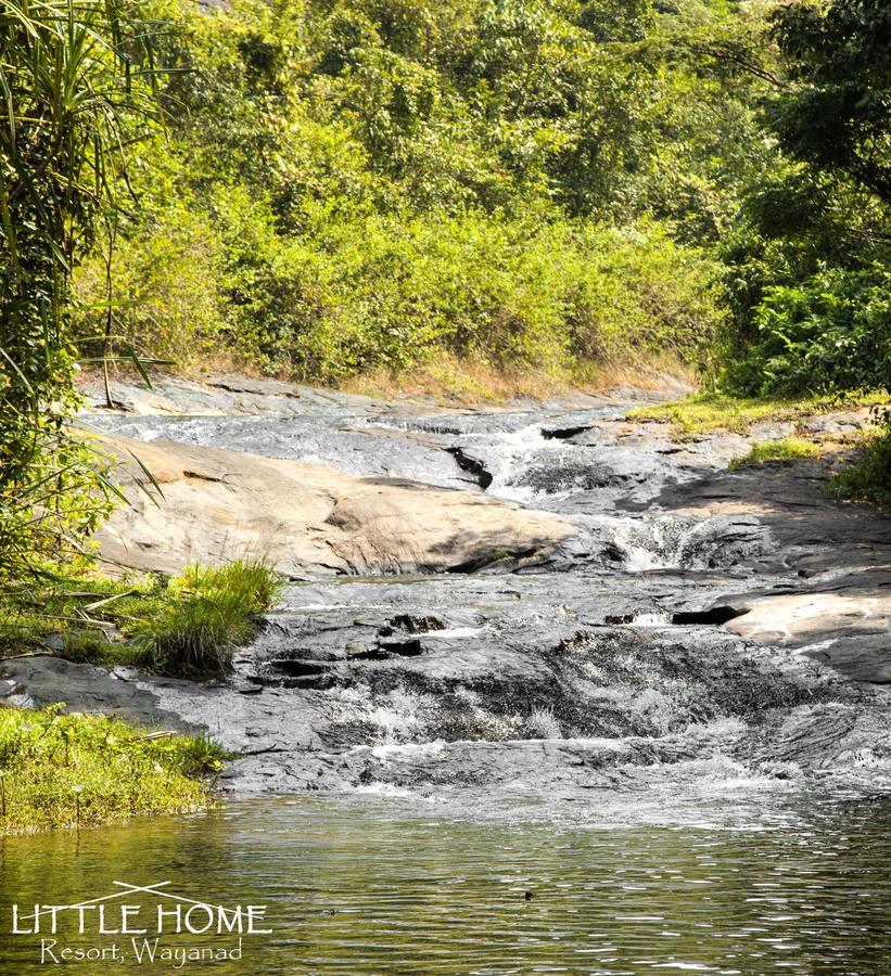 Little Home Resort Vythiri Buitenkant foto
